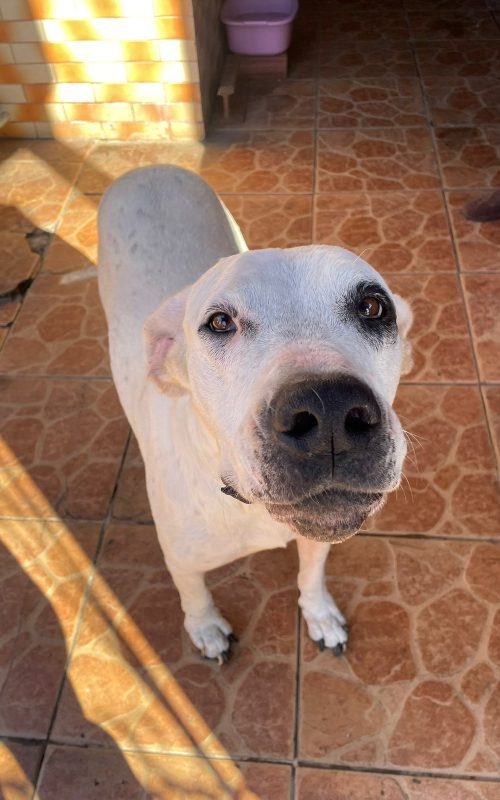 WhatsApp Image 2026-05-20 at 10.37.26
